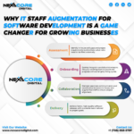 Why IT Staff Augmentation for Software Development is a Game-Changer for Growing Businesses